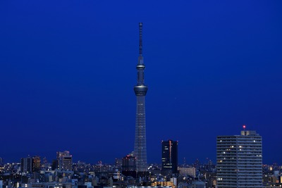 夜明けの東京スカイツリー