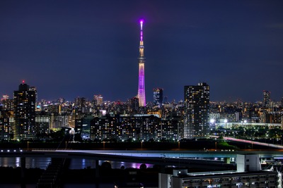 東京スカイツリー夜景「雅」