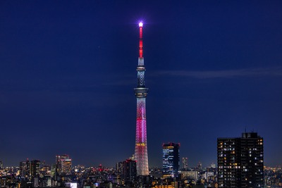 クリスマス特別ライティング「サンタクロース」