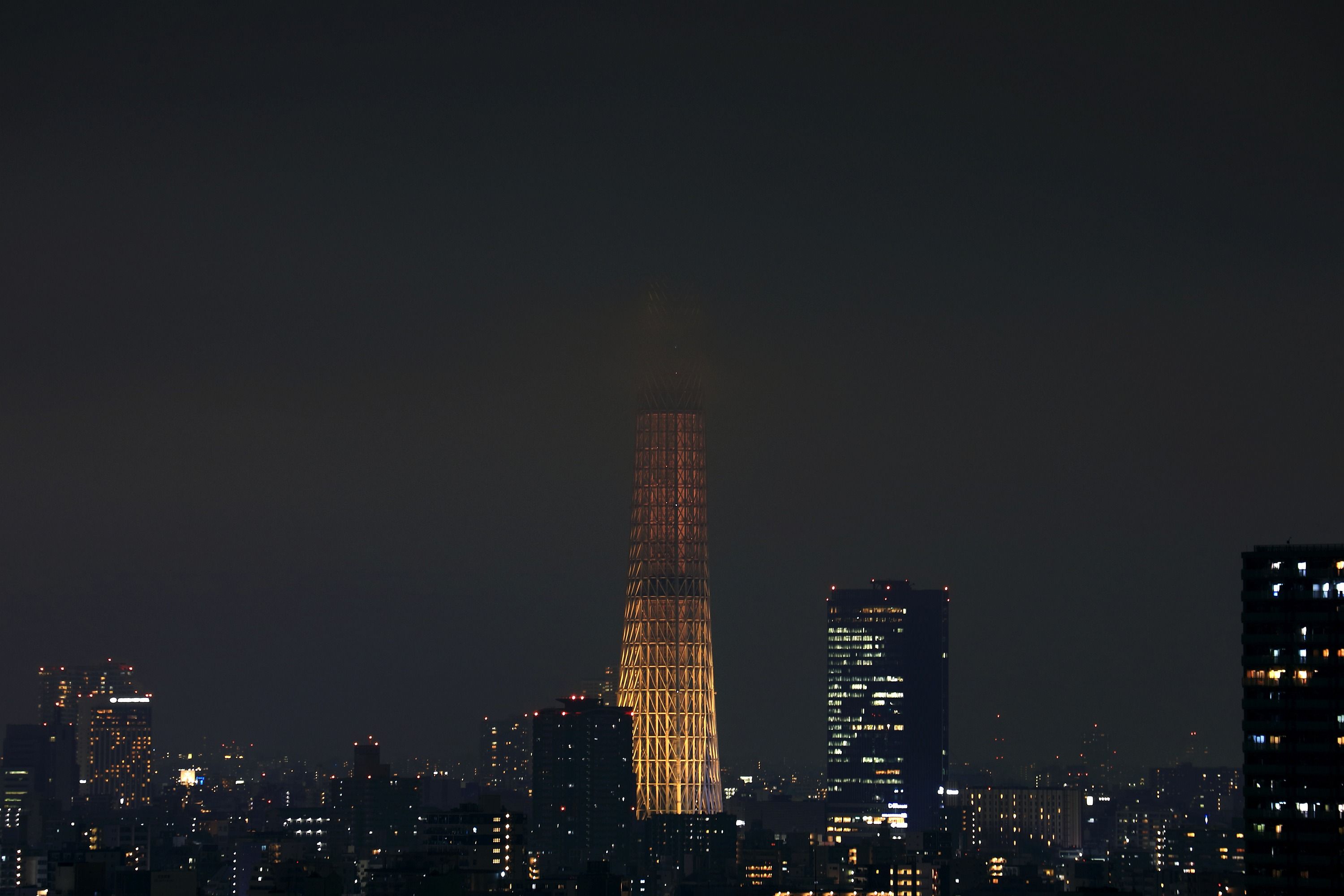 東京スカイツリー定点観測所