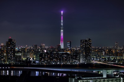 東京スカイツリー夜景「舞」