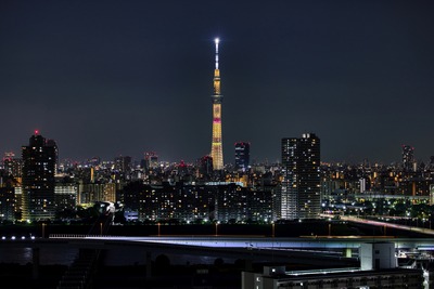 ピカチュウ10まんボルトの奇跡!?