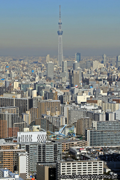 東京スカイツリー空撮