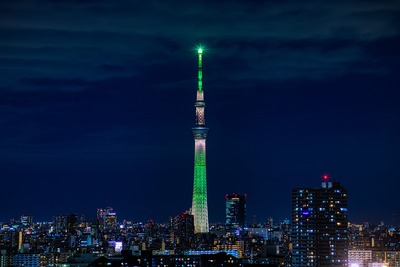 シャンパンツリー