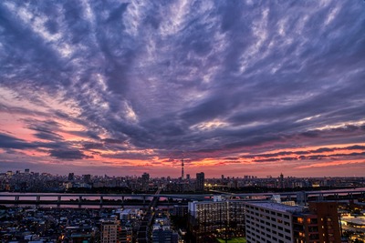 東京スカイツリー夕景