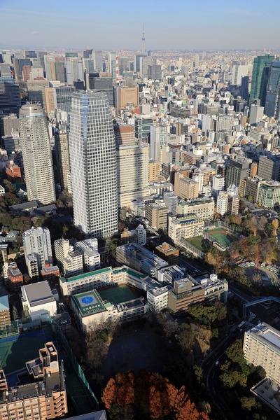 東京タワーの影と東京スカイツリー