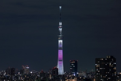 東京スカイツリー夜景「舞」