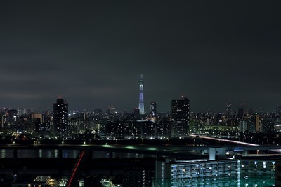 東京スカイツリー夜景「咲」