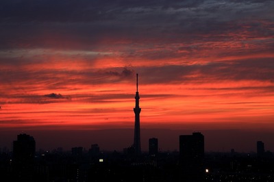 東京スカイツリー夕景