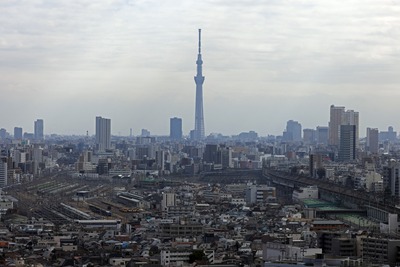北とぴあから見た東京スカイツリー