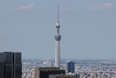 東京タワーから見た東京スカイツリー
