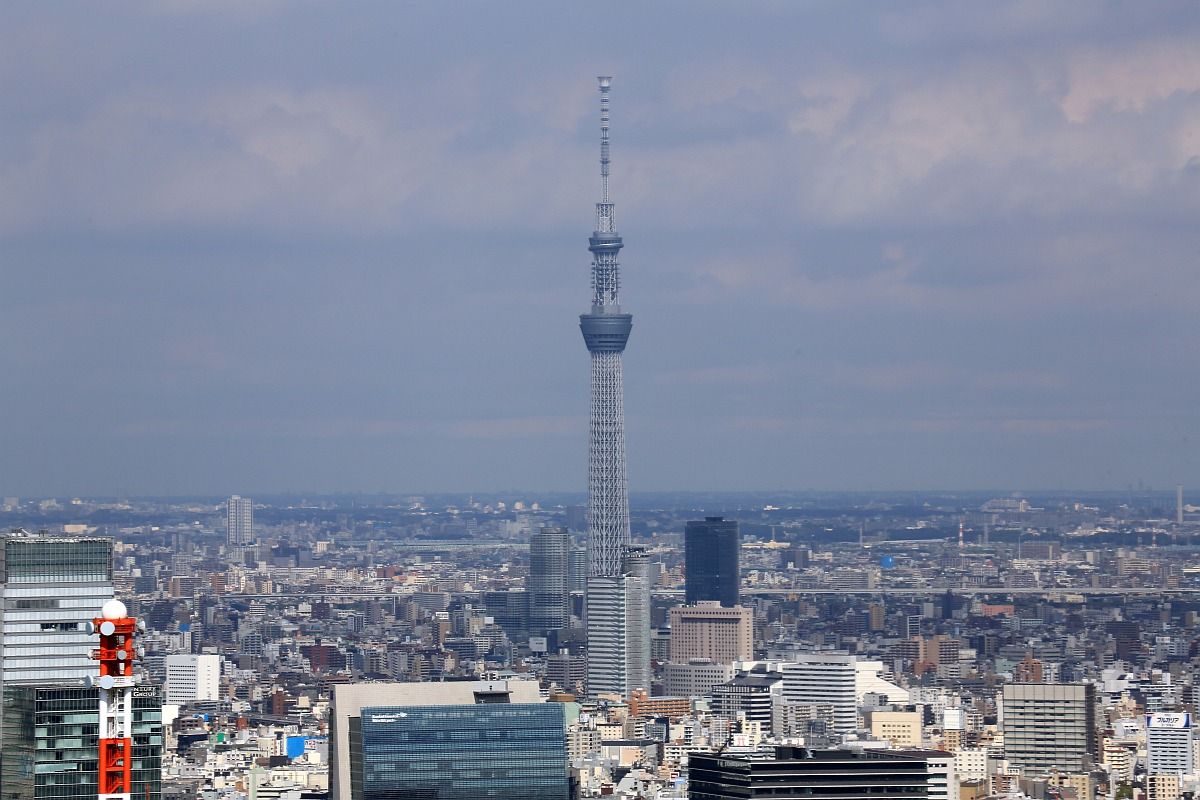 東京タワーから見た東京スカイツリー 東京スカイツリー定点観測所