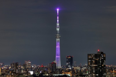 江戸紫を基調とした特別ライティング