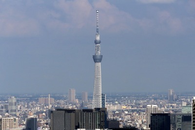 東京都庁から見た東京スカイツリー