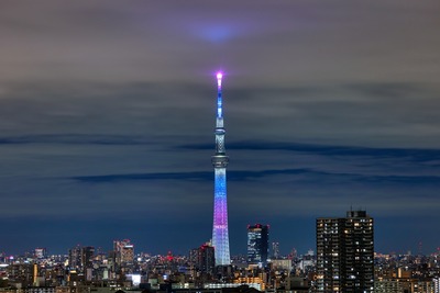 「桜宙（さくらそら）～Sakura SKY～」特別ライティング