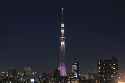 東京スカイツリー夜景「雅」