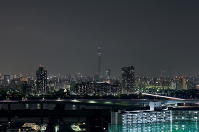 ライトダウンキャンペーンの東京スカイツリー夜景