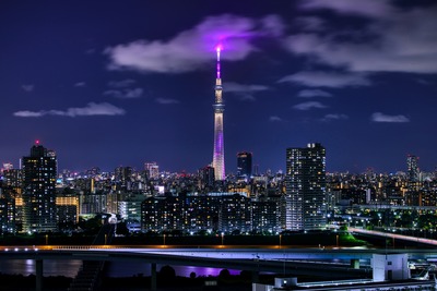 入手困難！超希少！　東京スカイツリー 開業記念 手ぬぐい Amazon | 童友社 1/3000 情景モデル 東京スカイツリー(R) プラモデル