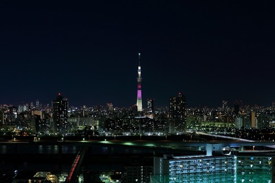 東京スカイツリー明花のハイビスカス