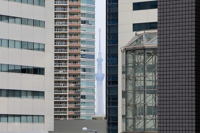 豊洲から隙間ツリー