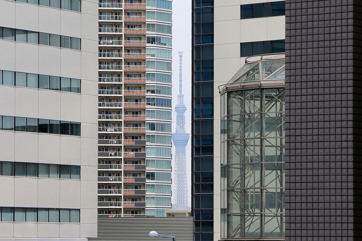 豊洲から隙間ツリー 東京スカイツリー定点観測所 豊洲から隙間ツリー 東京スカイツリー定点観測所