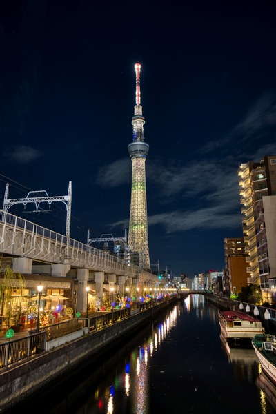 クリスマス特別ライティング「エレガントツリー」