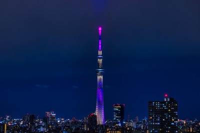 東京スカイツリー夜景「雅」