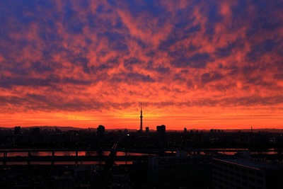 東京スカイツリー方面の夕焼け