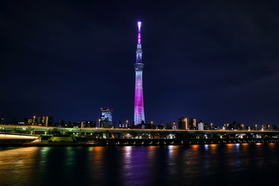 桜橋から見た東京スカイツリー夜景「舞」