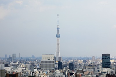 文京シビックセンターから見た東京スカイツリー