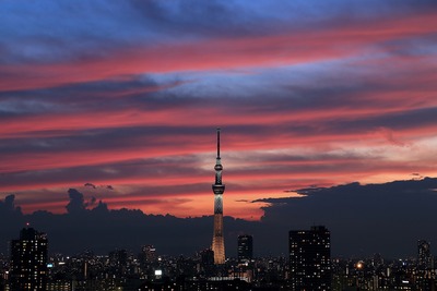 東京スカイツリー夕景