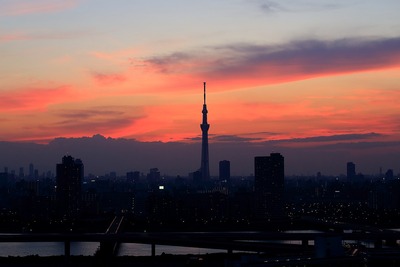 東京スカイツリー夕景