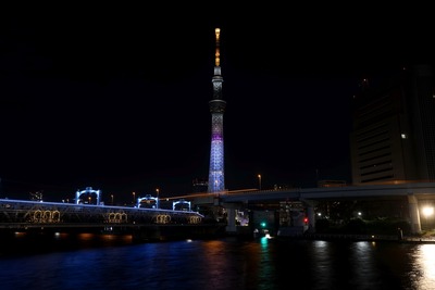 ラッコをイメージしたライティング