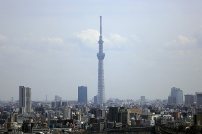 北とぴあから見た東京スカイツリー