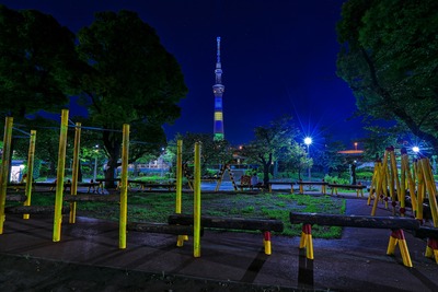 隅田公園からオリンピックカラーの東京スカイツリー