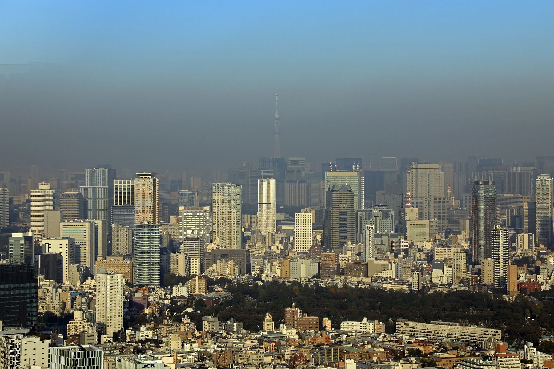 渋谷スカイから見た東京スカイツリー 19年11月1日 東京スカイツリー定点観測所