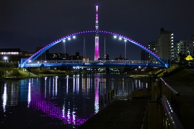 旧中川ふれあい橋と東京スカイツリー夜景「舞」