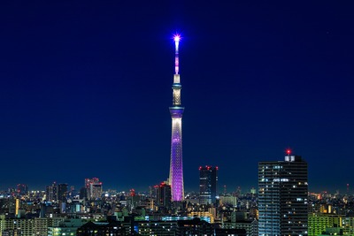 新LED照明テスト「雅」