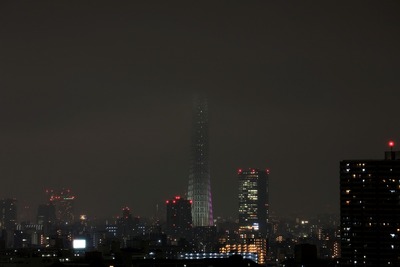 東京スカイツリー夜景「冬雅」