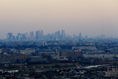 よみうりランドから見た新宿と東京スカイツリー