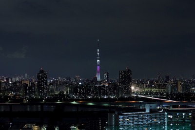 東京スカイツリー夜景「舞」