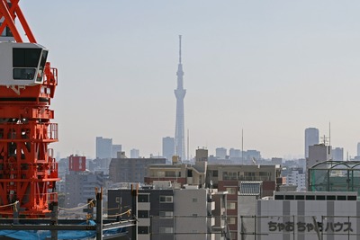 豊島の森から見た東京スカイツリー