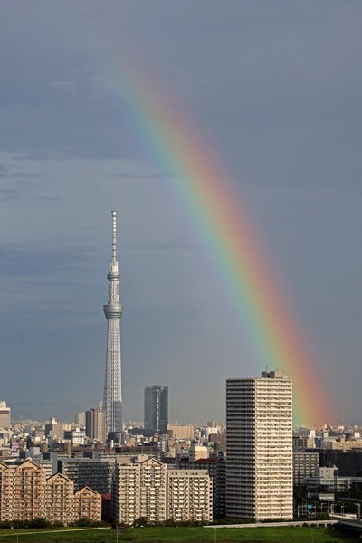 虹と東京スカイツリー
