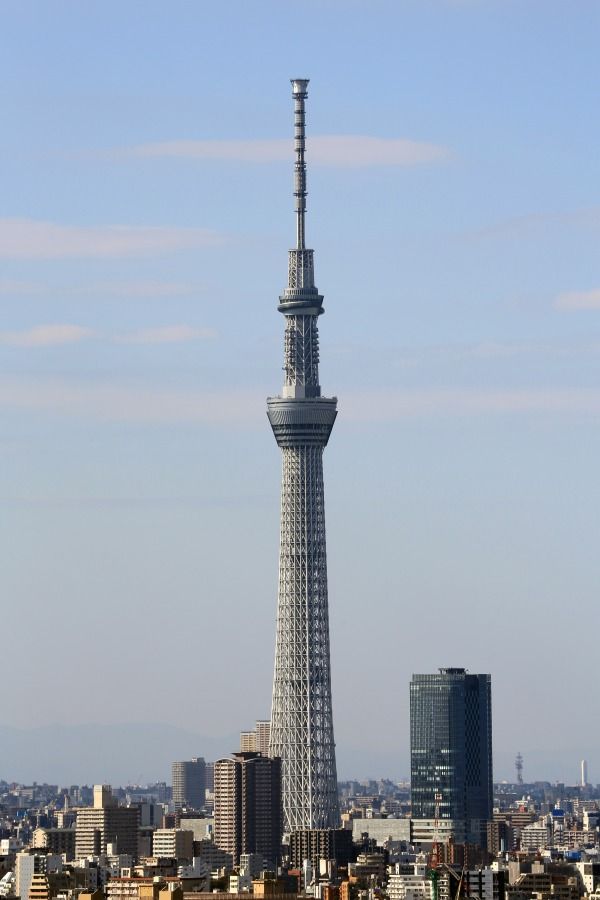 江戸川区のタワーマンションから見る東京スカイツリー 12年11月3日 東京スカイツリー定点観測所 江戸川区のタワーマンションから見る東京スカイツリー 12年11月3日 東京スカイツリー定点観測所