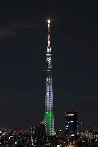 ラッコをイメージしたライティング