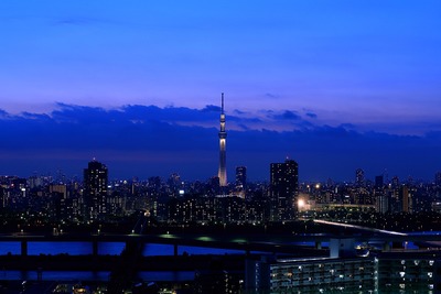 東京スカイツリー夜景「雅」