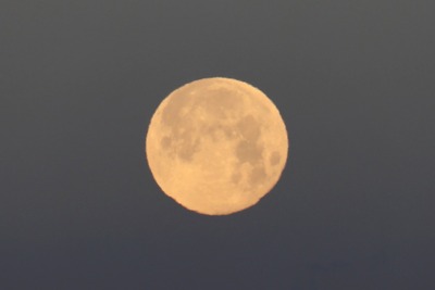 満月