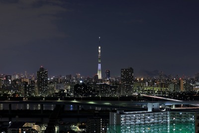 東京スカイツリー夜景「ゆり」