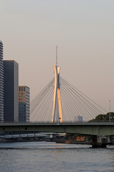 中央大橋と東京スカイツリー