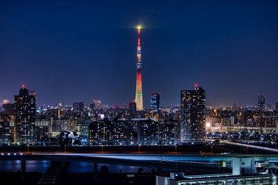 マリーゴールド